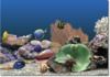 Telecharger gratuitement Marine Aquarium