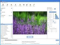iWatermark Pro 2 for Windows