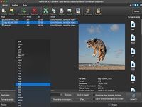 Pixillion - Convertisseur d'images gratuit pour Mac