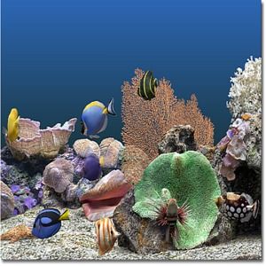 Télécharger Marine Aquarium Gratuit Le Logiciel Gratuit