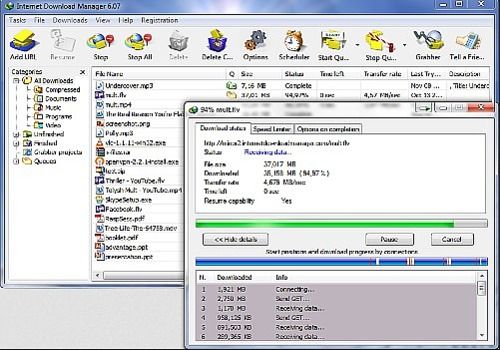 Telecharger Internet Download Manager (IDM)