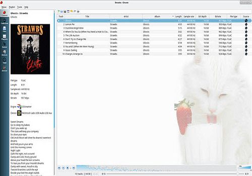instal the new version for apple Strawberry Music Player 1.0.18